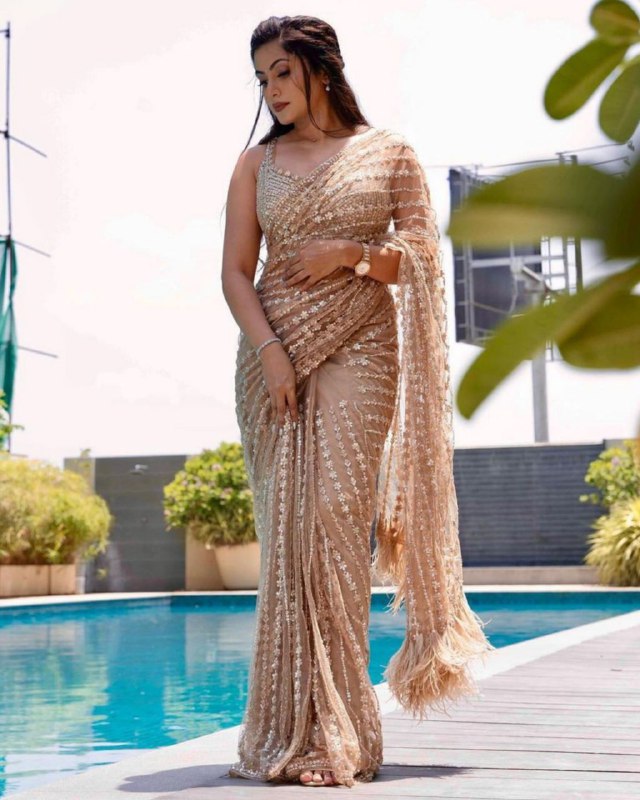 Gorgeous Cream Soft Net Embroidery Work Saree With Blouse